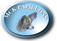 MCK Papillons Logo